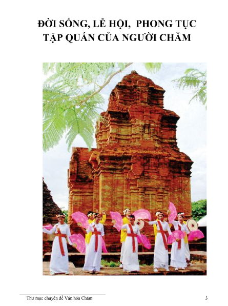 Sách Đời Sống, Lễ Hội, Phong Tục Tập Quán Của Người Chăm PDF tải FREE
