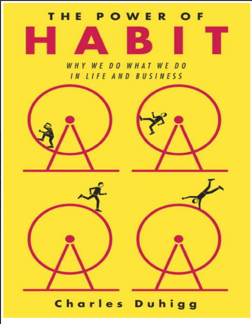Sách The Power of Habit Why We Do What We Do In Life And Business PDF