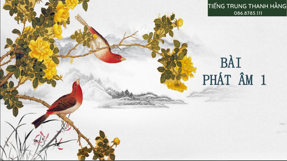 Tải FREE sách Bài 0 Phát Âm Tiếng Trung PDF có tiếng Việt