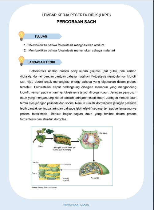 Tải FREE sách LEMBAR KERJA PESERTA DIDIK PDF có tiếng Việt 7 Tải FREE sách LEMBAR KERJA PESERTA DIDIK PDF có tiếng Việt