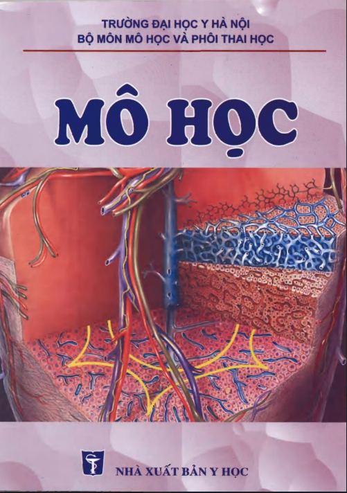 Tải FREE sách Mô Học PDF có tiếng Việt